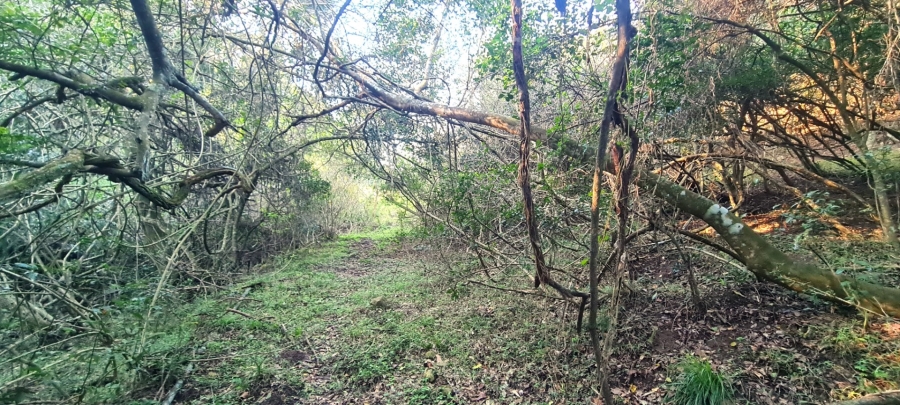 Commercial Property for Sale in Cintsa East Eastern Cape